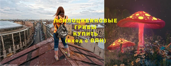 МДПВ Володарск