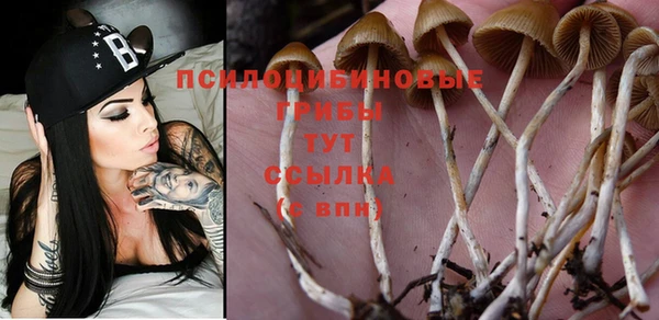 jwh Волосово