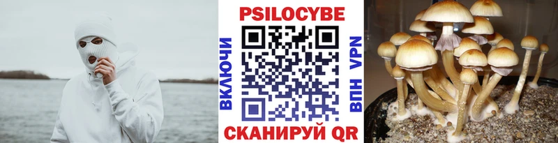 Купить  Ахтубинск  Галлюциногенные грибы GOLDEN TEACHER 