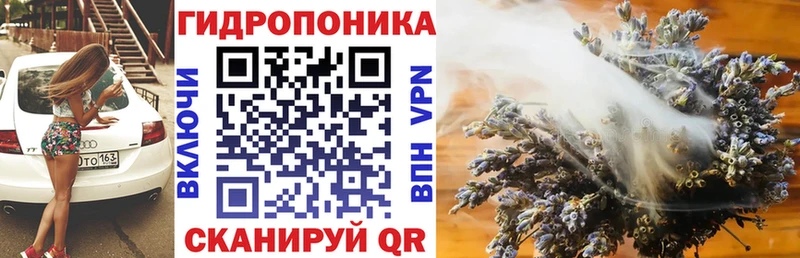 Купить закладки  Ахтубинск  Каннабис семена 